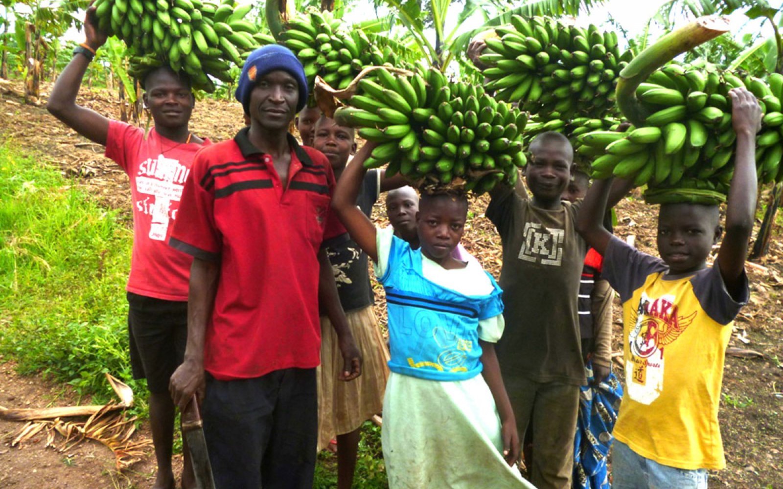 Kagoma Orphanage Banana Plantation